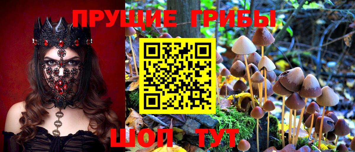 Псилоцибиновые грибы Magic Shrooms Артёмовский